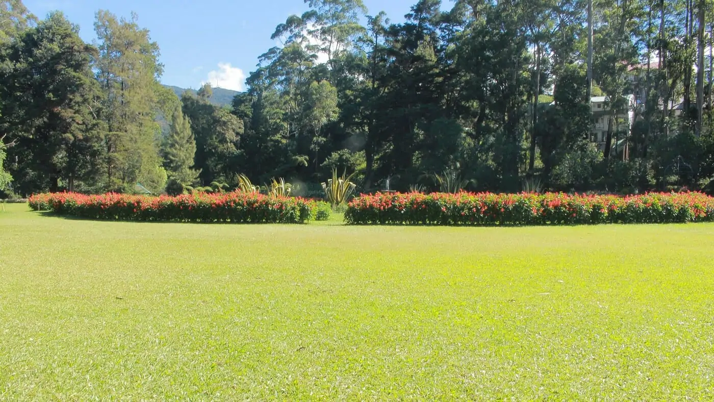 Victoria-Park-Nuwara-Eliya-6