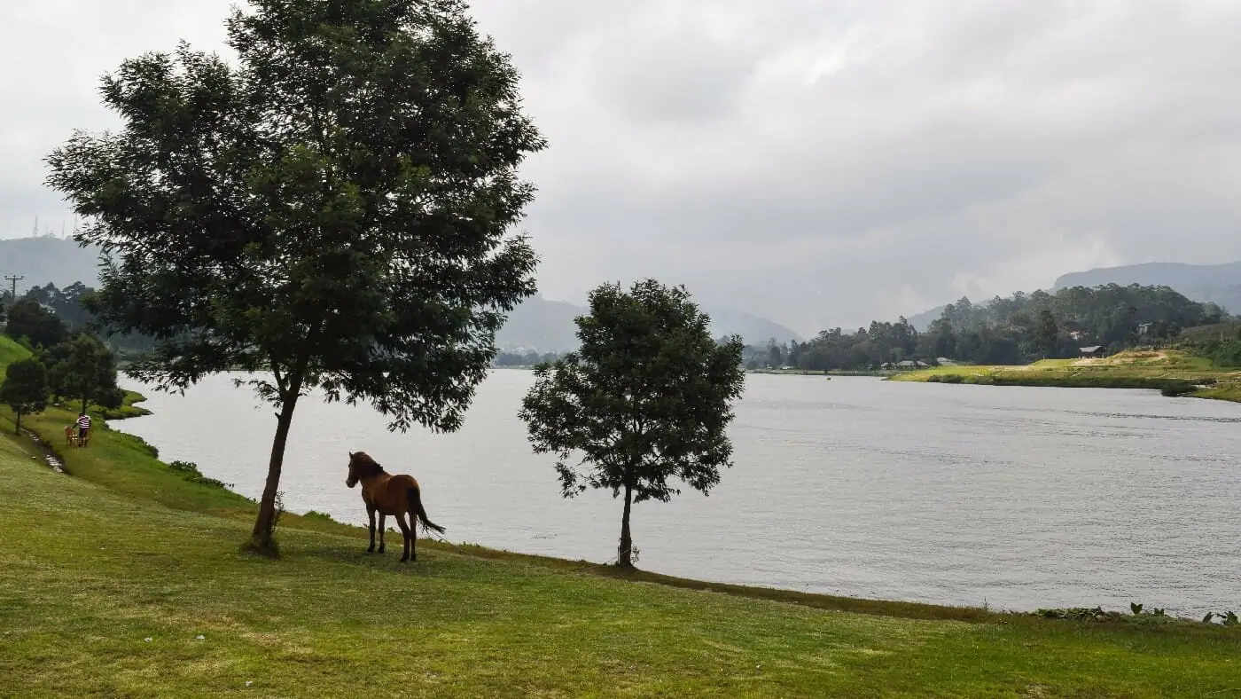Gregory-Lake-Nuwara-Eliya-4