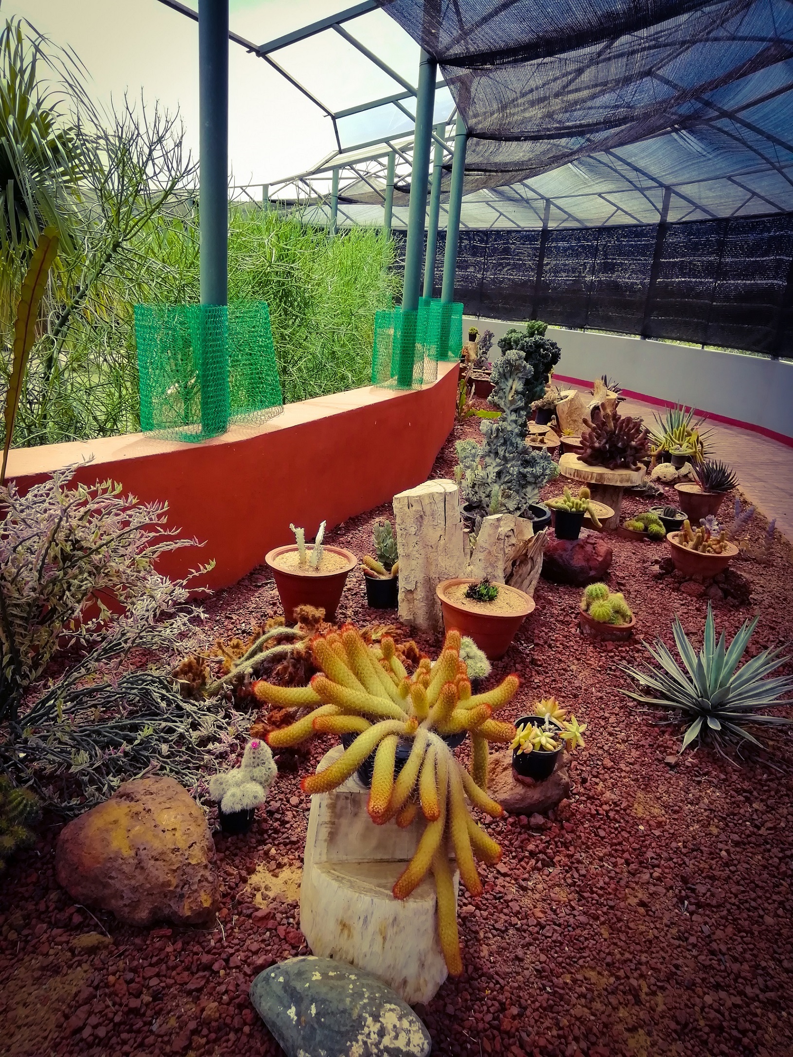 Dry Zone Botanic Gardens Mirijjawila 11