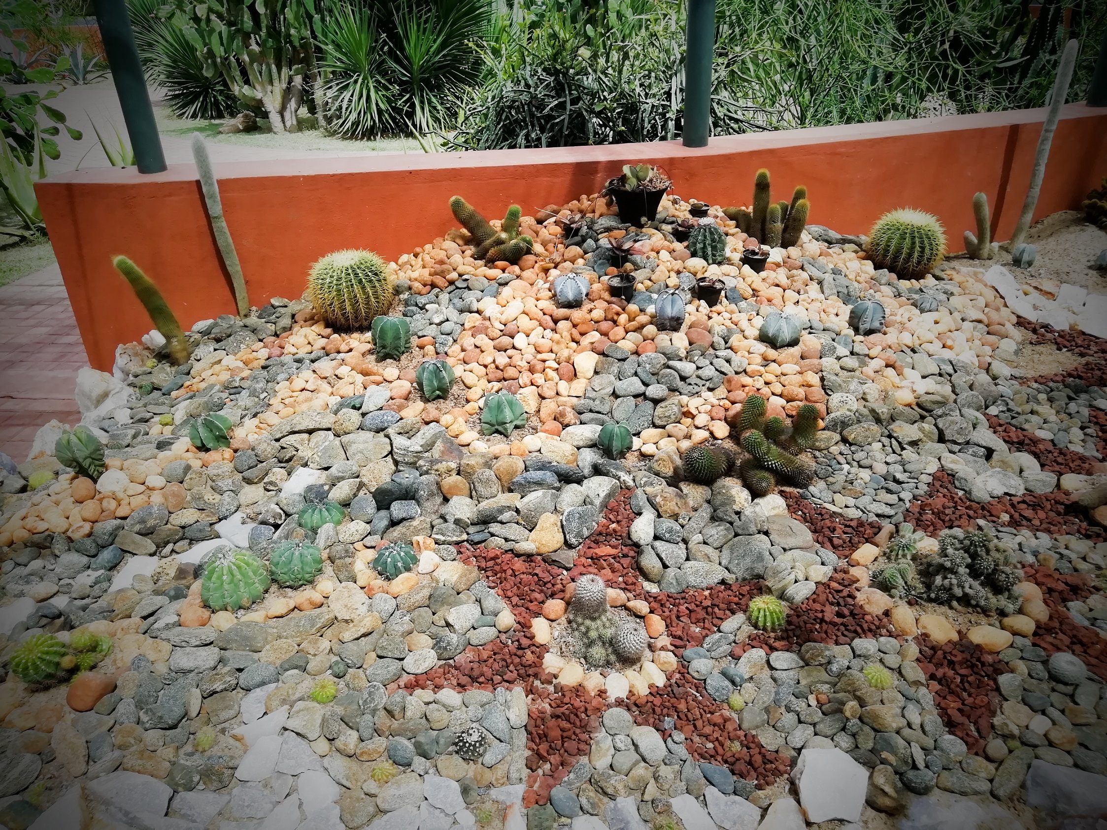 Dry Zone Botanic Gardens Mirijjawila 16