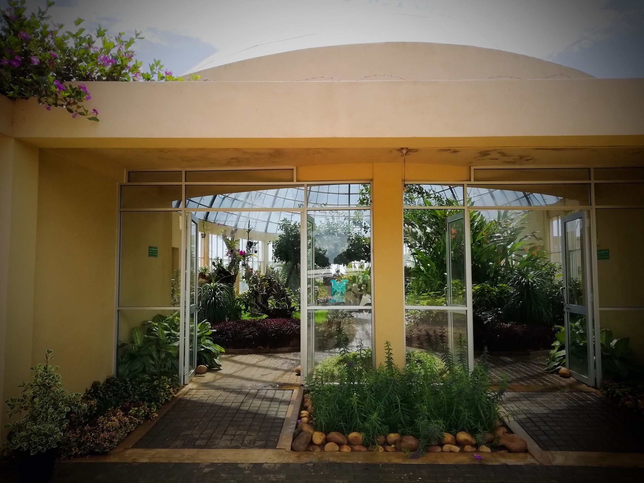 Dry Zone Botanic Gardens Mirijjawila 3