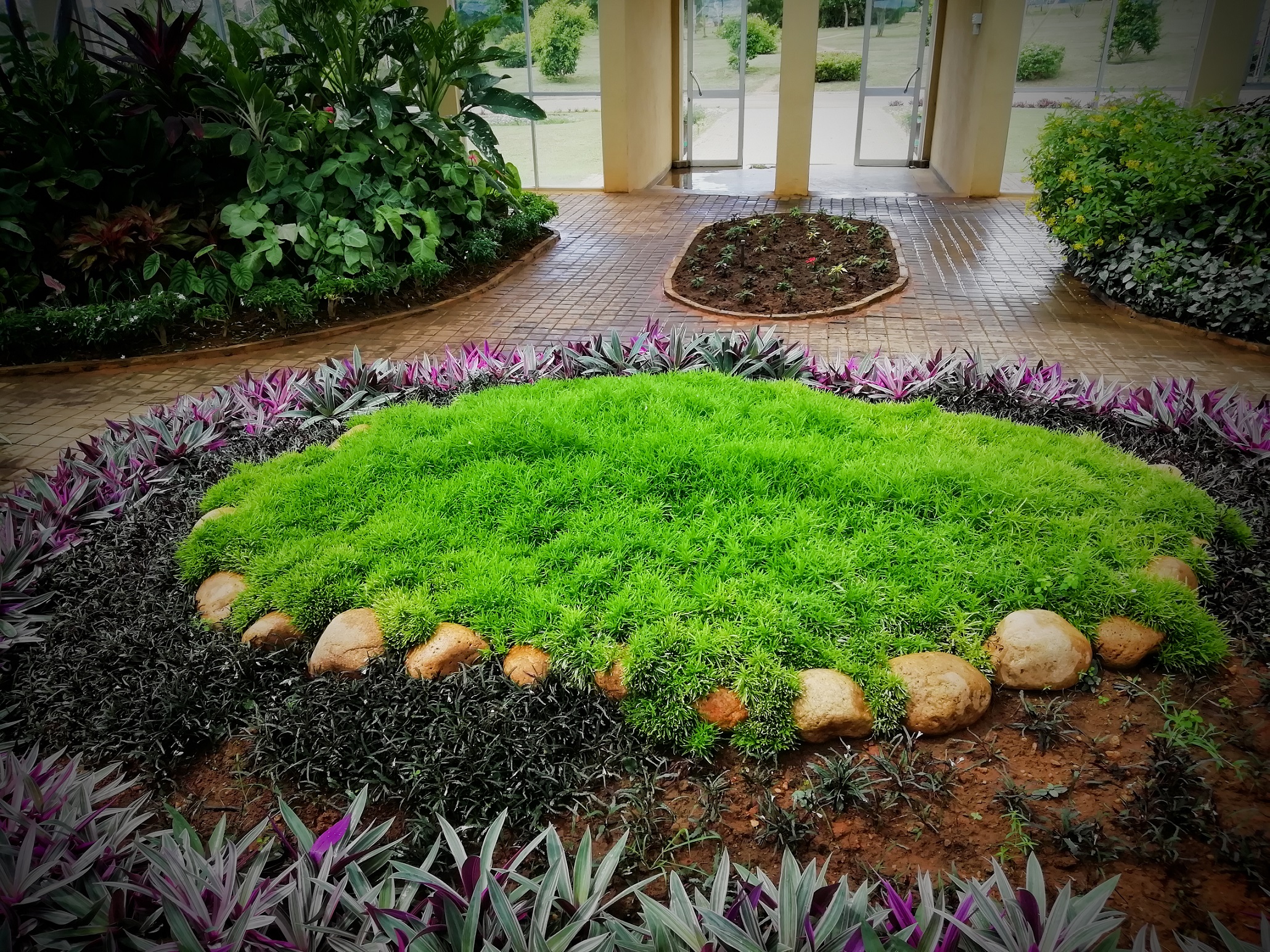 Dry Zone Botanic Gardens Mirijjawila 6