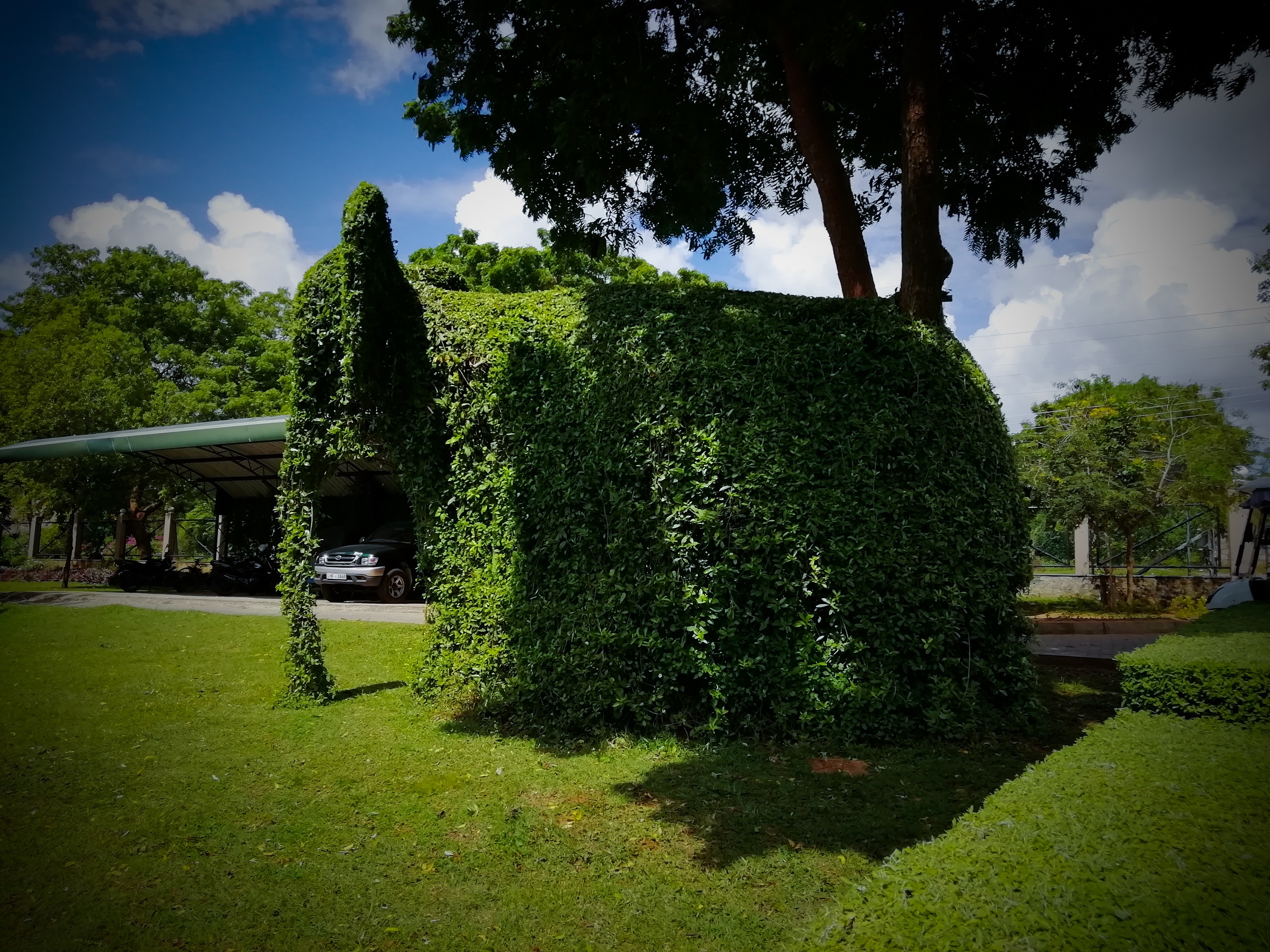 Dry Zone Botanic Gardens Mirijjawila 9