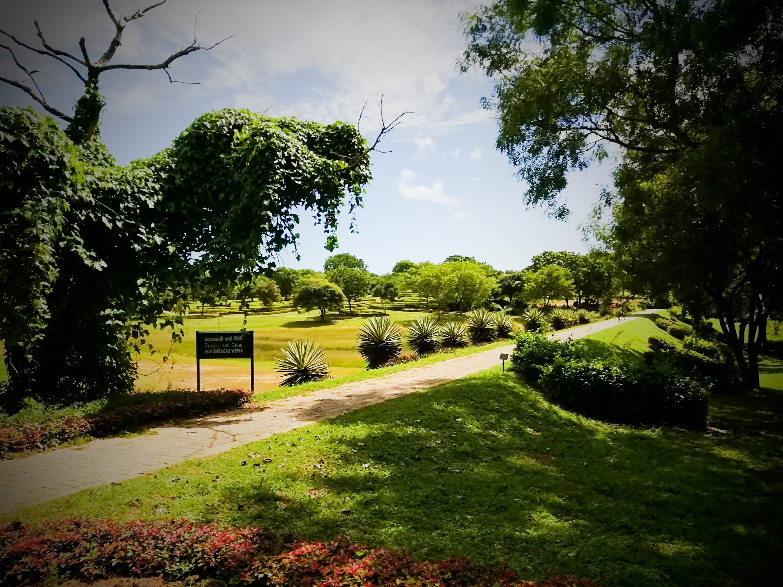 Dry Zone Botanic Gardens Mirijjawila Hambanthota 2