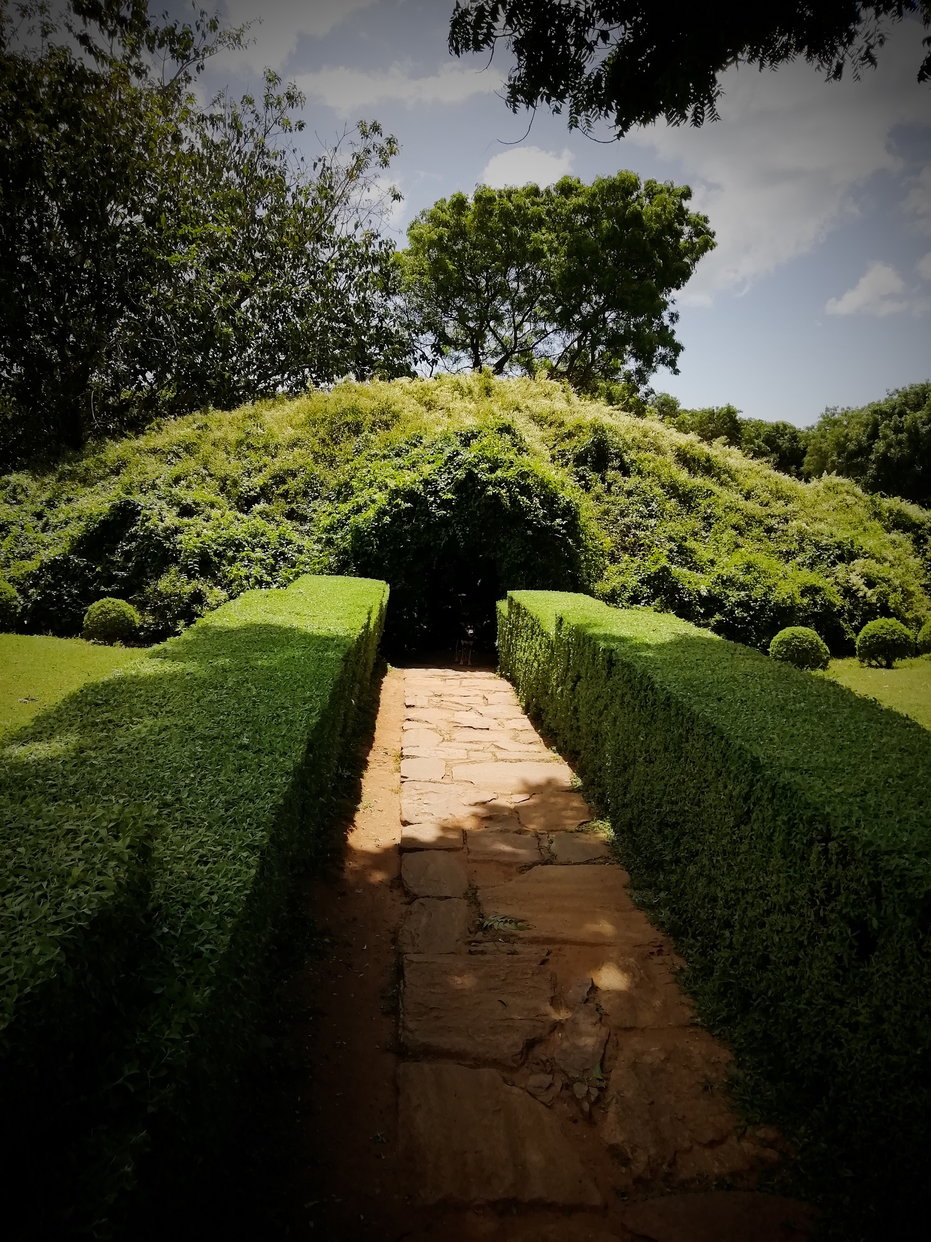 Dry Zone Botanic Gardens Mirijjawila Hambanthota 6