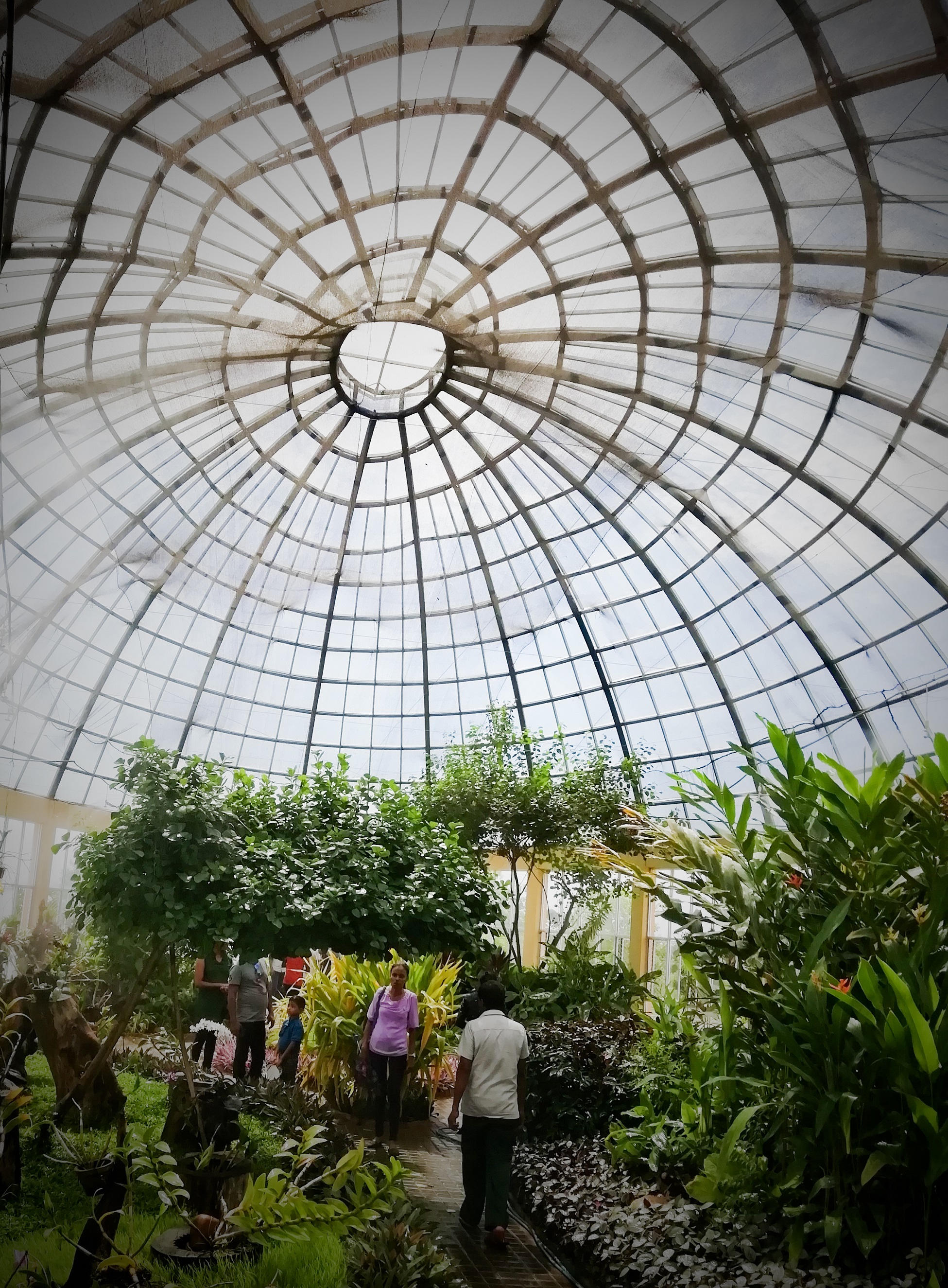 Dry Zone Botanic Gardens Mirijjawila Hambanthota 8